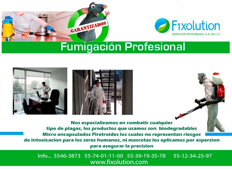 F1XOLUTION SERVICIOS INTEGRALES, S.A DE C.V.